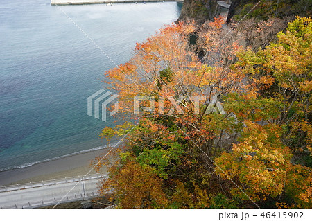 三陸ジオパーク秋の浄土ヶ浜 三陸ジオパーク秋の浄土ヶ浜 46415902