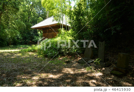 久喜市菖蒲町　天王山塚古墳 46415930