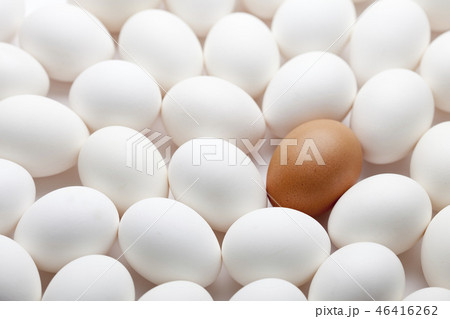茶色 卵 白 46416262