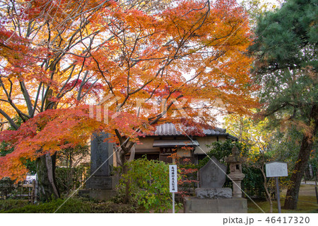 中院の紅葉　不染亭　埼玉県川越市 46417320