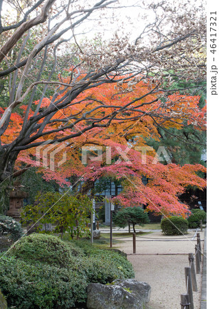 中院の紅葉　埼玉県川越市 46417321