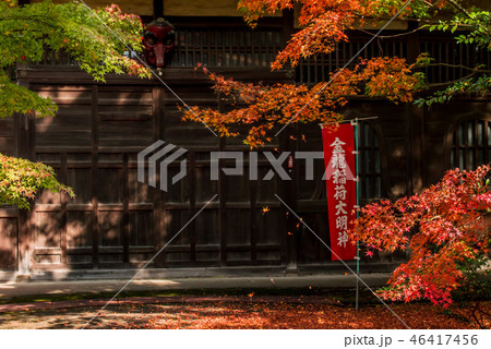 天徳院の紅葉 天徳院の紅葉 46417456