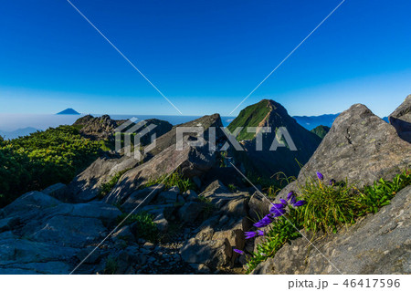 八ヶ岳 稜線と富士山と高山植物 八ヶ岳 稜線と富士山と高山植物 46417596