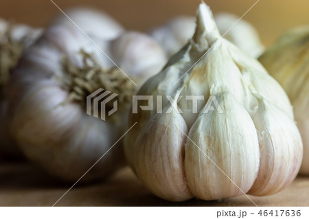 Garlic placed on wood table with morning sunlight. 46417636