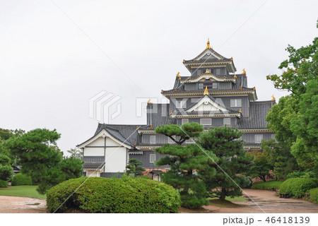 岡山城天守閣 46418139