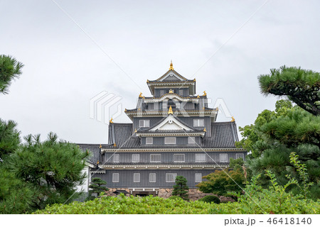岡山城天守閣 46418140
