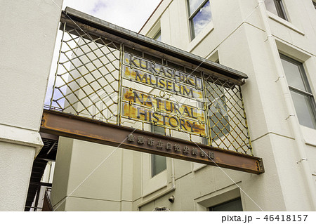 倉敷　美観地区　倉敷市立自然史博物館 46418157