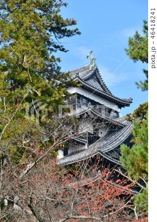 秋の松江城　城下町 46418241