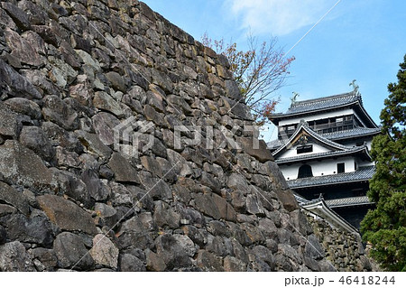 秋の松江城　城下町 46418244