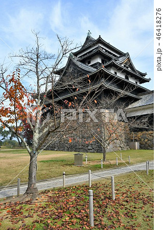 秋の松江城 城下町 秋の松江城 城下町 46418276