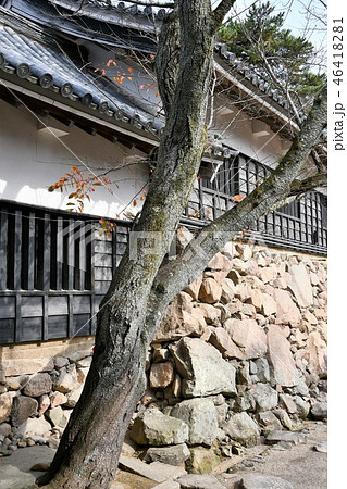 秋の松江城 城下町 秋の松江城 城下町 46418281