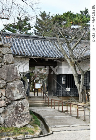秋の松江城 城下町 秋の松江城 城下町 46418286