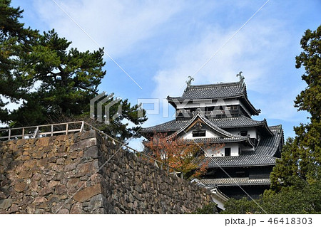 秋の松江城　城下町 46418303