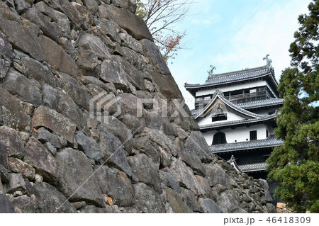 秋の松江城 城下町 秋の松江城 城下町 46418309
