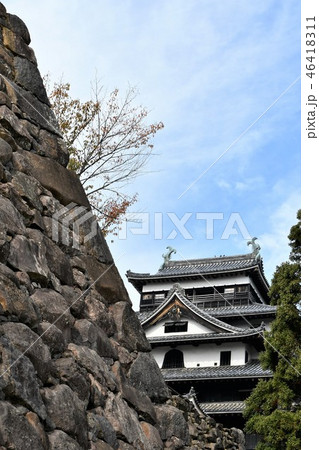秋の松江城　城下町 46418311