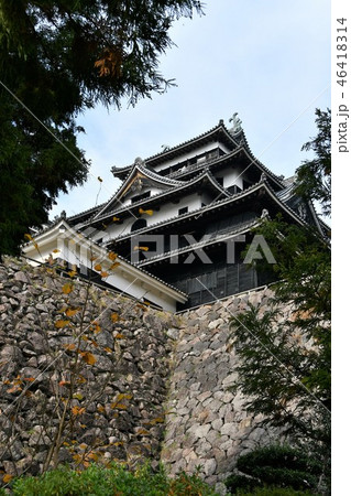 秋の松江城 城下町 秋の松江城 城下町 46418314