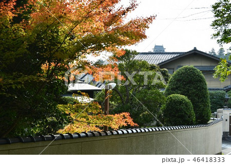秋の松江城 城下町 秋の松江城 城下町 46418333