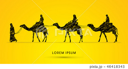 Cameleer with camels graphic vector 46418343