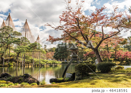 兼六園の秋 兼六園の秋 46418591