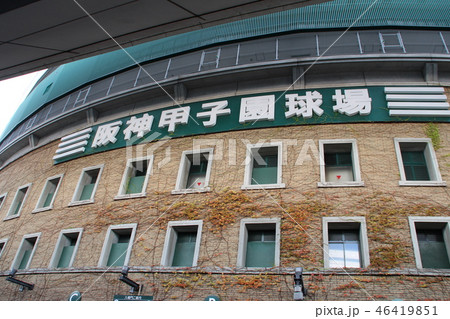 阪神甲子園球場 46419851