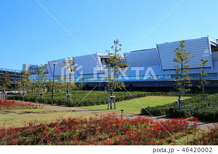 豊洲市場水産仲卸売り場棟（2018年12月撮影） 46420002