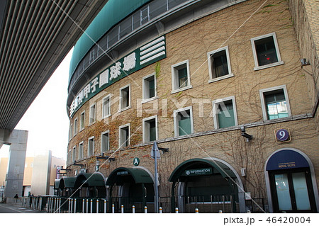 阪神甲子園球場 46420004