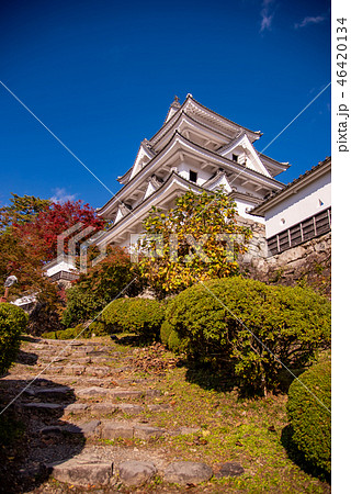 秋の郡上八幡城 紅葉とお城 岐阜県郡上市 の写真素材