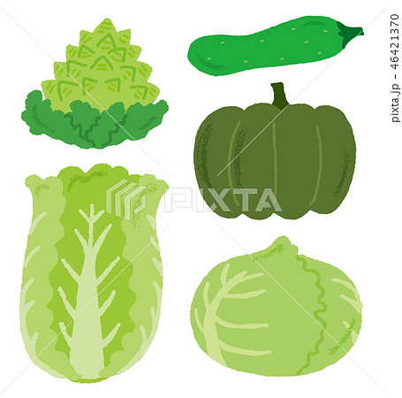 緑の野菜セットのイラスト素材