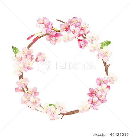 桜のリース 水彩イラストのイラスト素材