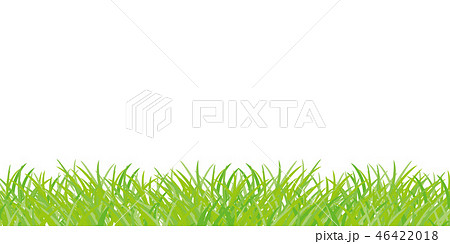 芝生 ラインイラストのイラスト素材 46422018 Pixta