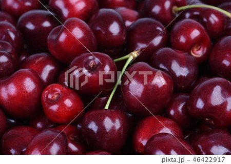 Sweet cherry fruit closeup Sweet cherry fruit closeup 46422917