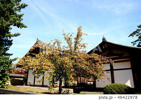 法隆寺、日本最古の食堂、国宝 46422978