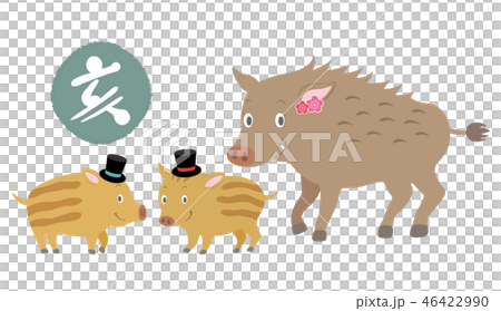 New year's card material of wild boar New year's card material of wild boar 46422990