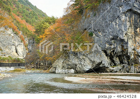 岩泉の紅葉 46424528