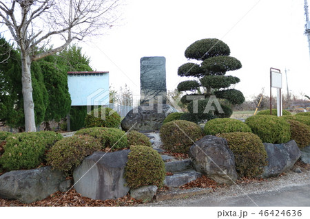 日之出城　山梨県　韮崎市 ■ 武田信長、徳川家康 46424636