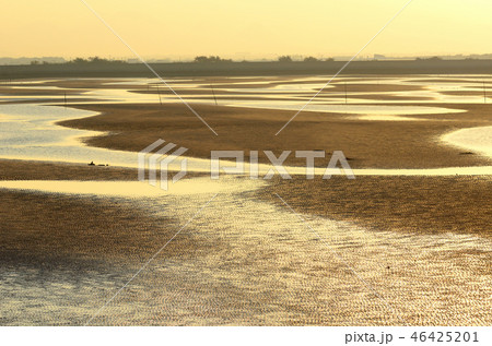 真玉海岸 46425201