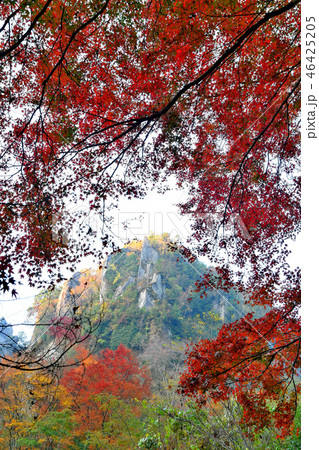 深耶馬渓 深耶馬渓 46425205