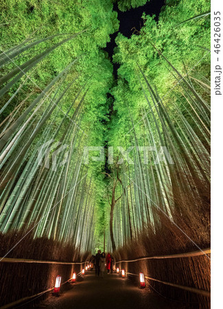 嵐山 嵐山 46426035