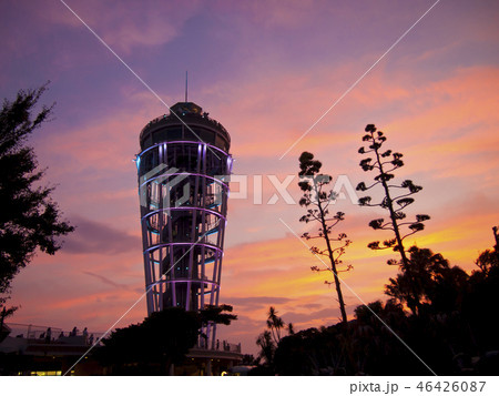 江の島シーキャンドル　夕焼け空 46426087