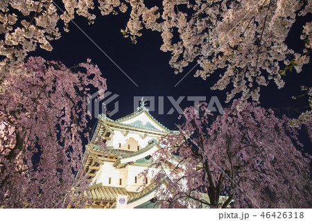 夜の弘前城2 夜の弘前城2 46426318