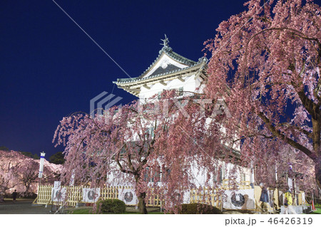 夜の弘前城3 夜の弘前城3 46426319