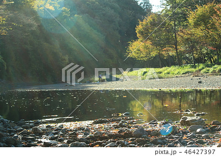 川辺でキャンプ(埼玉県高麗市)高麗川のドレミファ橋から撮影 川辺でキャンプ(埼玉県高麗市)高麗川のドレミファ橋から撮影 46427397
