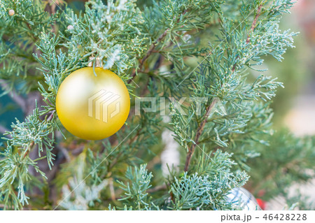 クリスマスツリー 46428228
