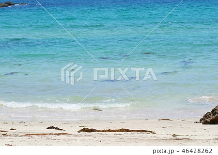 背景素材 白い砂浜と青い海 打ち上げられた海藻の写真素材