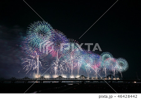 長岡の花火 夏祭り 花火大会の写真素材