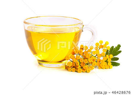 tansy tea with flowers isolated on white background 46428676