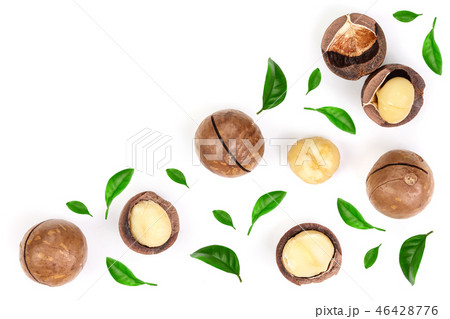 Shelled and unshelled macadamia nuts with leaves isolated on white background with copy space for Shelled and unshelled macadamia nuts with leaves isolated on white background with copy space for 46428776