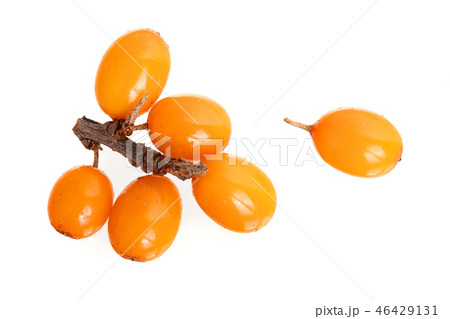 Sea buckthorn. Fresh ripe berry isolated on white background. Top view. Flat lay pattern Sea buckthorn. Fresh ripe berry isolated on white background. Top view. Flat lay pattern 46429131