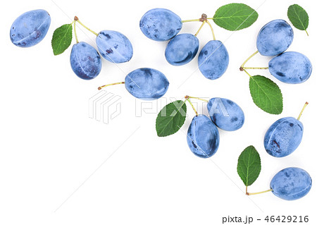 plums with leaf isolated on a white background with copy space for your text. Top view. Flat lay 46429216
