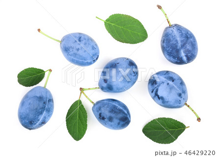 plums with leaf isolated on a white background. Top view. Flat lay pattern 46429220